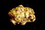 Or Natif, Pépite du Suriname ou de Guyane Française (gold, Nieuw