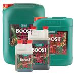 Boost Accelerator 10 L, Jardin & Terrasse, Alimentation végétale